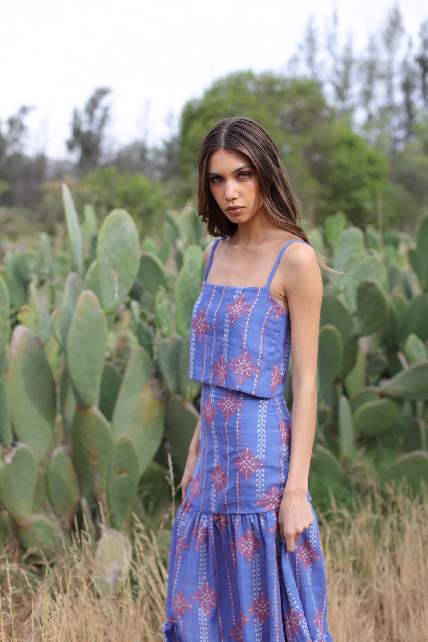 Pollera Beatriz Indigo