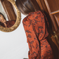 Blusa Triana Paisley